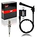 1PZ CW1-X01 Ignition Coil for Yamaha Raptor 660R 2001 2003 2004 2005 Polaris Trail Boss 330 2001 2003 2004 2005 2006 2007 2008 2009 2010 2011