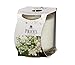Produktbild Price's - Lily of the Valley Duftkerze im Glas  Leichter, blumiger, hochwertiger Duft  lang anhaltender Duft  bis zu 45 Stunden Brenndauer