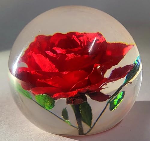 Image of 60mm Real Red Rose in Crystal Clear Lucite Resin Ball June Birth Month Flower Anniversary Wedding Engagement Valentine Mother's Day Gift Botanist Herb Herbarium Paperweight Display Decor Collection