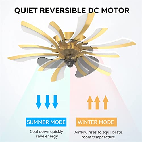 ZSPINJIA Ventilatore da Soffitto con Luce e