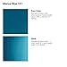 Daler-Rowney FW Acrylic Ink Bottle Marine Blue - Versatile Acrylic Drawing Ink for Artists and Students - Permanent Calligraphy Ink - Archival Ink for Illustrating and More
