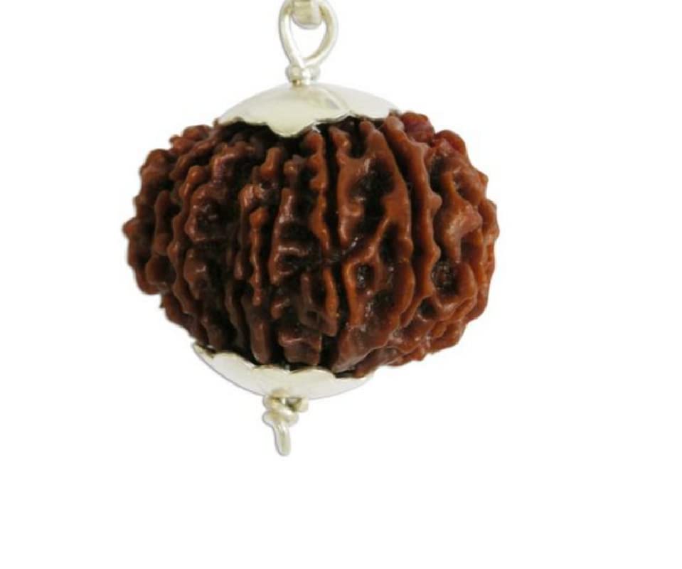 See full amazon price history chart for 9STARS 15 Mukhi Rudraksha Original Certified Nepali Pendant 15 ???? ????????? 15 Mukhi Rudraksha Nepal 15 Face Rudraksha Original Certified Nepal Fifteen Mukhi Rudraksha Nepal 9STARS 15 Mukhi Rudraksha Original Certified Nepali Pendant 15 ???? ????????? 15 Mukhi Rudraksha Nepal 15 Face Rudraksha Original Certified Nepal Fifteen Mukhi Rudraksha Nepal (B0CT5LTW22) Amazon Price History, Amazon Price Tracker