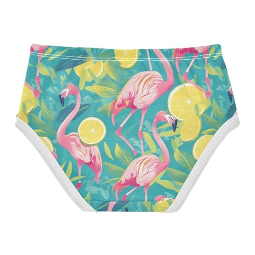 Wusikd Flamingos Girls' Underwear Cotton Slices Girls Briefs Soft Toddler Underwear 2T2
