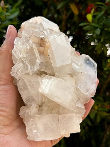 GAF Treasures Apophyllite Stilbite cluster image