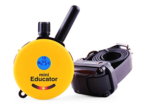 Mini Educator ET-300 Dog Training e Collar - Educator Remote Trainer System - Waterproof - Vibration Tapping Sensation with eOutletDeals Value Bundle