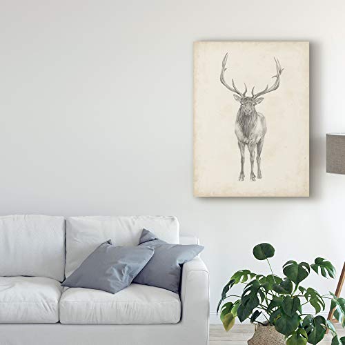 Trademark Fine Art Elk Study by Ethan Harper, 24x32 by Trademark Fine Art - Used condition - Image 3