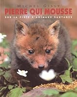 pierre qui mousse 2211066992 Book Cover