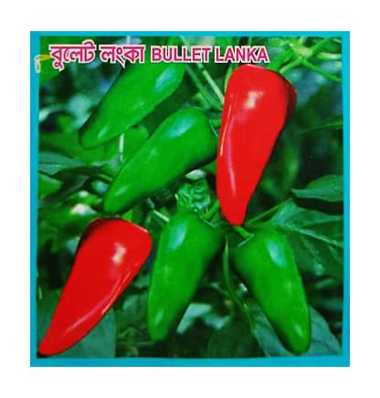 Gachwala Bullet Green Chili Seeds (Pack of 50+) | Chili Pepper Seed | Hot Chili Seed (B0B5B2326B) Amazon Price History, Amazon Price Tracker