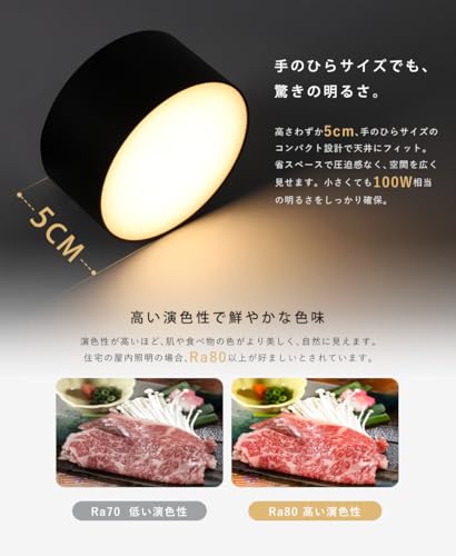 共同照明 2個セット ミニシーリングライト 一体型 LED 内蔵式 100W相当 900lm 引っ掛けシーリング用 スポットライト ダウンライト 昼白色 GT-D10B-CW-2B フラット配光 コンパクト シンプル 天井照明 スポット照明 ダイニング リビング キッチン（ブラック） [4]