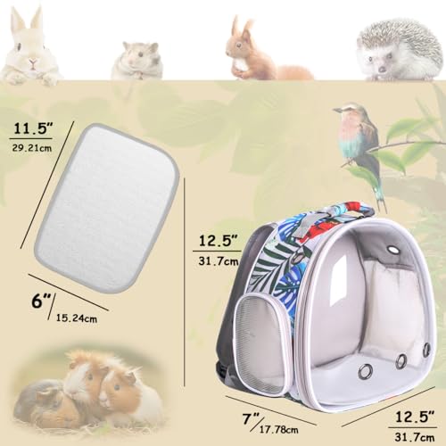 Hamster Backpack Carrier,Bearded Dragon Carrier Backpack for Kids with Clear Bubble Window,Small Animal Travel Backpack for Guinea pig Hedgehog Rat,Sugar Glider Airline Approved (Multicolor, Backpack) by WEVONIGU - Image 2