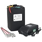 48V 30Ah Batteria per Bici Elettrica con Batteria al Litio Ferro Fosfato con Caricabatterie Rapido da 5A e BMS da 40A per Motore da 250-2000W su Ebike, Scooter e Moto