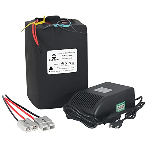 48V 30Ah Batteria per Bici Elettrica con Batteria al Litio Ferro Fosfato con Caricabatterie Rapido da 5A e BMS da 40A per Motore da 250-2000W su Ebike, Scooter e Moto