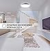Lamparas de Techo, Plafon Led Techo, Downlight Led Techo, Superficie Circular 20W,...