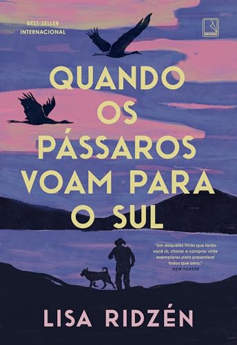 Quando os pássaros voam para o sul