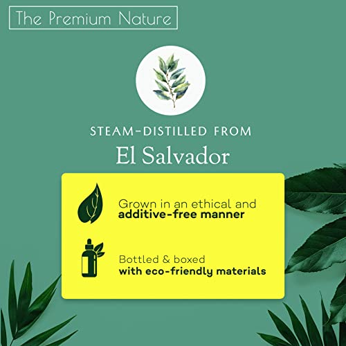 Image of Peru Balsam Essential Oil for Diffuser | 100% Natural | Peru Balsam Oil for Skin & Aromatherapy | Essential Oil for Candle Making | Sweet & Balsamic Scent, 15 mL