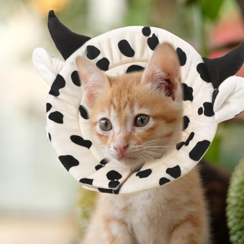 Image of Mipcase Soft Dog Cone to Stop Licking - Adjustable Cone Collar for Small Dogs & Cats