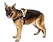Big Dog Soft Reflective No Pull Orange Harness Size L 26-36inch