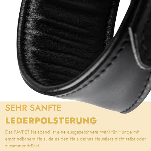 FAVPET Handbemalter Echtleder Windhund Halsband Breit mit QR Code Anhänger, Weiches Lederhalsband Hund Whippet Italienisches Windspiel Saluki Lurcher Spanischer Galgo Podenco (Sonnenblumen, XS)