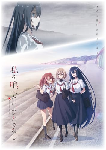 �w������ׂ����E�ЂƂłȂ��x�S12�b �A�j��TV ���S��BOX �z�[��DVD�v���[���[�œK