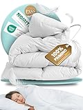 BEFA NATUR Piumone invernale trapuntato, 100% piume naturali, 155 x 220 cm (2 pezzi) | 610g peso del riempimento/pezzo | Anti-allergenico (NOMITE) | Benessere animale (DOWNPASS) | Oeko-TEX Classe 1 |