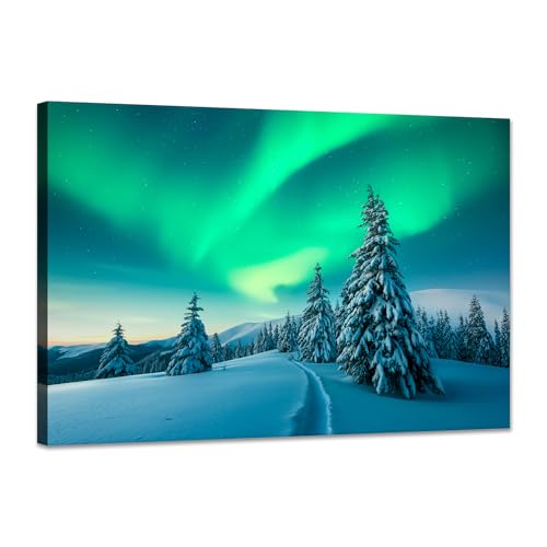 SKASNFAI Aurora Landscape Canvas Wall Art Natural Framed for Office