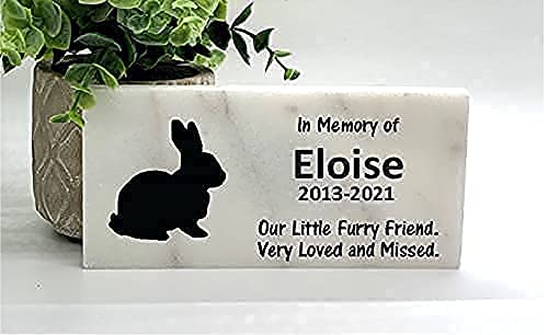 Florida-Funshine Personalized Rabbit Memorial Stone #TOP1