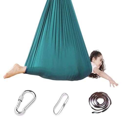 Sensory Swing