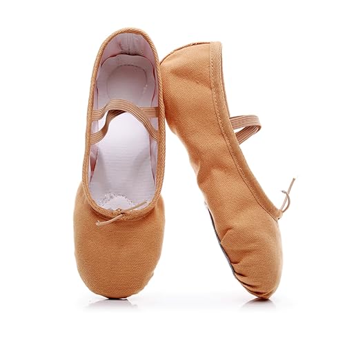 Women's Ballet Shoes Portable Adult Dance Shoes Stretch Canvas Flat Dance Practice Shoe for Women