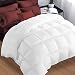 Queen Comforter Soft Warm Goose Down Alternative Duvet Insert 2100 Quilt with Corner Tab for All Season, Prima Microfiber Filled Reversible Hotel Collection,White,88 X 88 inch