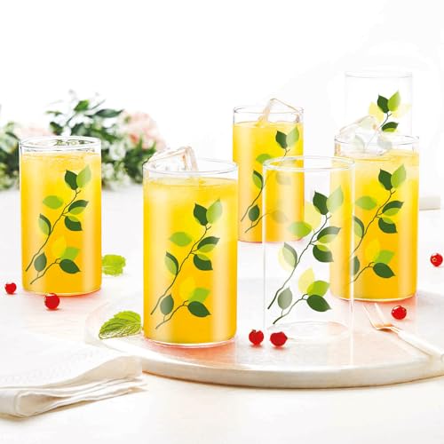 Image of Borosil 295 ml Set of 6 pcs Green Leaves Vision Transparent Glass | Cold Drink Tumbler, Beer Glass, Juice Glass | Flame Proof Glasses | Microwave & Dishwasher Safe | Glass Drinking Tumbler