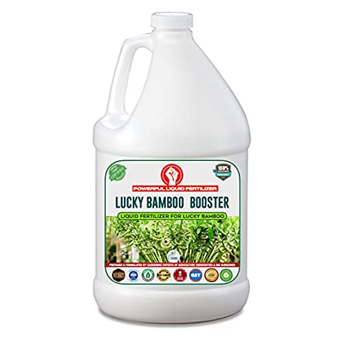 Erwon® Lucky Bamboo Booster, Premium Essential Powerful Liquid Fertilizer for the Best Growth of Lucky Bamboo Plants with Growth Nutrients and Charged Micro-Organism (1000 ml) (B09GYFKYGX) Amazon Price History, Amazon Price Tracker