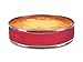 Rose Levy Beranbaum’s Heavenly Cake Strip, European Silicone, Fits 9-Inch Round and 8-Inch Square Cake Pans