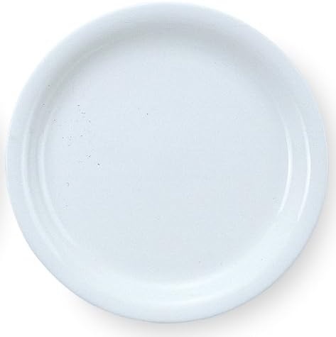 公式ストア 強化磁器 テクノライト ひとり用ピザ皿 23cm