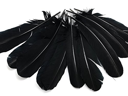 6 Pieces - Black Turkey Rounds Secondary Wing Quill Feathers Halloween Cosplay Costume Supply | Moonlight Feather #TOP7