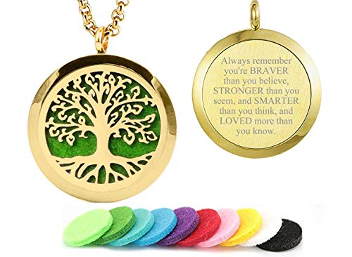 Aromatherapy Essential Oil Diffuser Necklace 316L Stainless Steel Locket Pendant with 24 Inch Chain