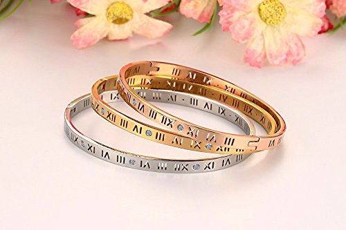 Winnie Women's Stainless Steel Rhinestone Roman Numerals Bracelet, Rose Gold, Gold, Silver, Width 4.55Mm. Diameter 60Mm (Gold) #TOP6