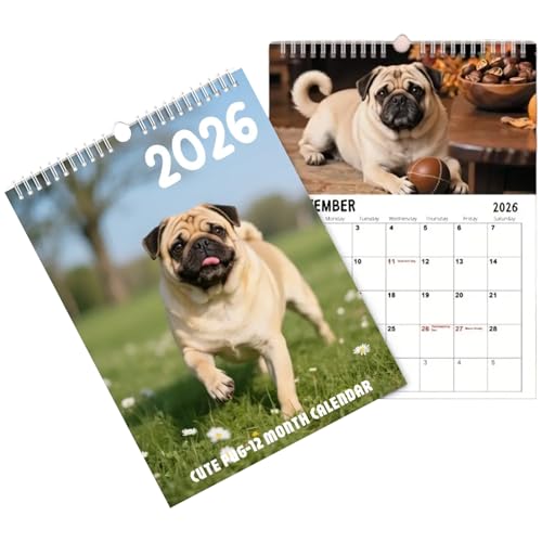 Ǌ|J_[ - XPW[pbh - NԃJ_[ Nvi[ Ǘp - Ƒ q t wZ  ItBX  ① zf[