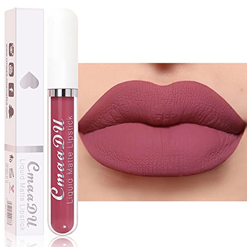 Matte Liquid Lipstick, Stain Lipstick Velvet Lip Gloss, Nude Lip Gloss Long-Lasting Waterproof Non-Stick Cup Not Fade for Women Lippies Beauty Cosmetics Makeup Gift for Girls (9)