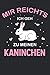 Mir reichts ich geh zu meinen Kaninchen: Sektchen | 6' x 9' Notizbuch | Liniert | 120 Seiten | Lustiges Geschenk f&uuml;r Kaninchenliebhaber und Kaninchen Mama