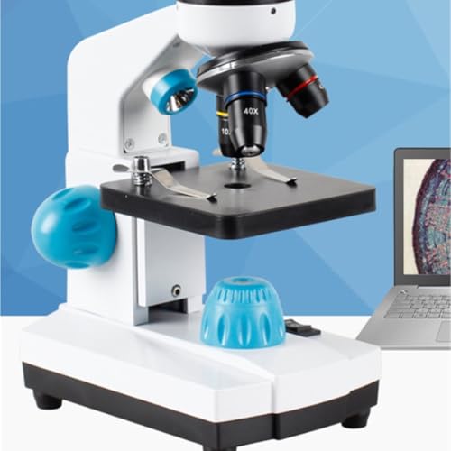 Microscope numérique HD zoom 2000x pour réparation électronique et science - 3