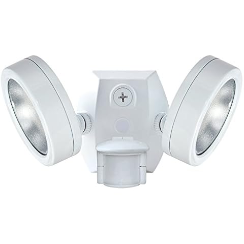 RAB Lighting Leslie SMS Bullet Flood 2X13W Cover