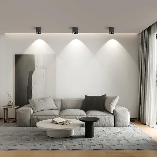 Image of JAYMP Modern LED Ceiling Light 4000K Dimmable 24W COB Black Surface Mount Cylinder Accent Down Light for Living Room Hallway Laundry Room