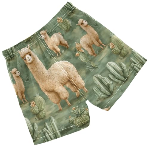 Pigsaly Boys' Swim Board Shorts Watercolor Green Cacti Cute Llama Alpacas Boy's Swim Trunks Kids Swimwear S2
