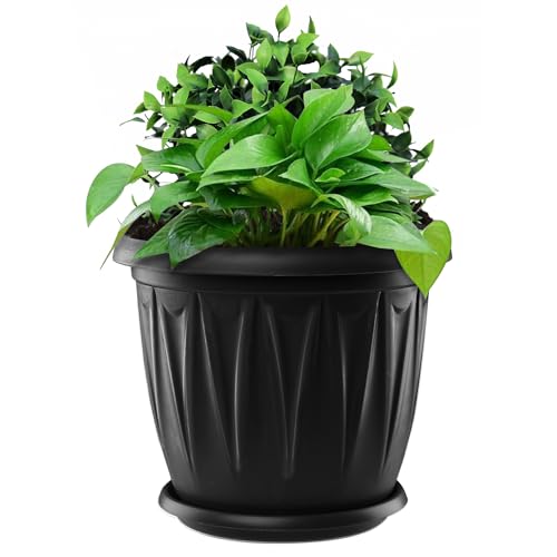 ZENQA 13.5cm Flower Plant Pots with Saucer Indoor | Small Plant Pot with Drainage Hole | Outdoor Garden Pots for Orchid, Bonsai Plants | Plastic Round Planters Seedling House Nursery Black