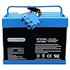 12 Volt 12AH Battery for Peg Perego Tractor John Deere Gator XUV Polaris RZR 900 Polaris Slingshot Gaucho Rock'in 12V Replacement Battery for Ground Loader New Holland T8 Tractor Kids Ride On Car Toys