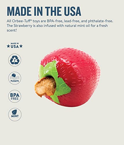 Planet Dog Orbee-Tuff Strawberry Treat-Dispensing Dog Chew Toy #TOP5