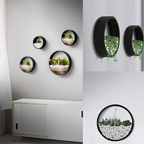 Zeetoon 3 Pack Set Modern Wall Planters Succulent Planter Circle Metal Flower Pot Indoor Air Plant Vertical Container Hanging Vase Home Decoration Size S,M,L Black, With 3 Artificial Succulent Plants #TOP1