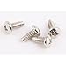 4-PC Switch Plate SCREWKIT