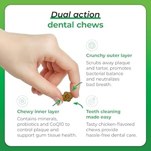 Vetriscience Perio Plus Cat Teeth Cleaning Bites  Advanced Cat Breath Freshener  Dual Action Cat Dental Care Formula for Plaque Control  Fresh Breath 60 Chews Chicken Flavor  Cucciolini Doodles Vetriscience perio plus cat teeth cleaning bites  advanced cat breath freshener  dual action cat dental care formula for plaque control  fresh breath 60 chews chicken flavor   cucciolini doodles