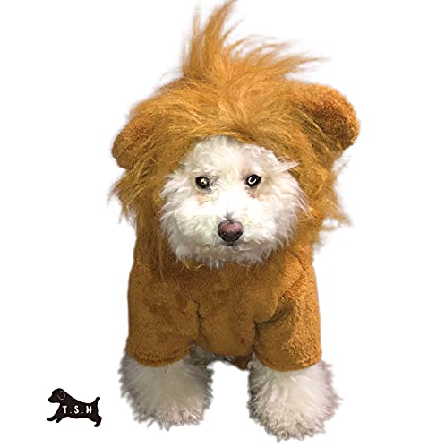 ライオン コスプレ 犬用ペット服の人気商品 通販 価格比較 価格 Com ライオン コスプレ 犬用ペット服の人気商品 通販 価格比較 価格 Com